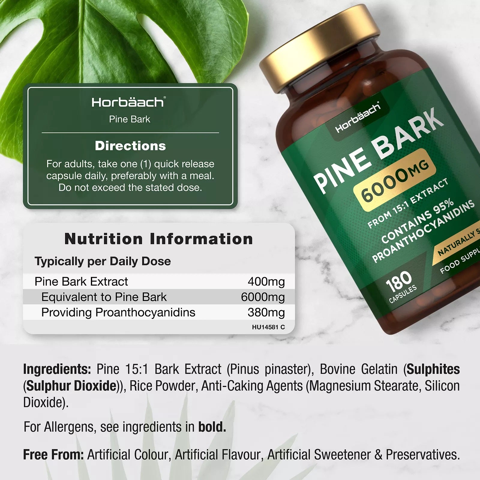 Pine Bark 6000 mg | 180 Capsules