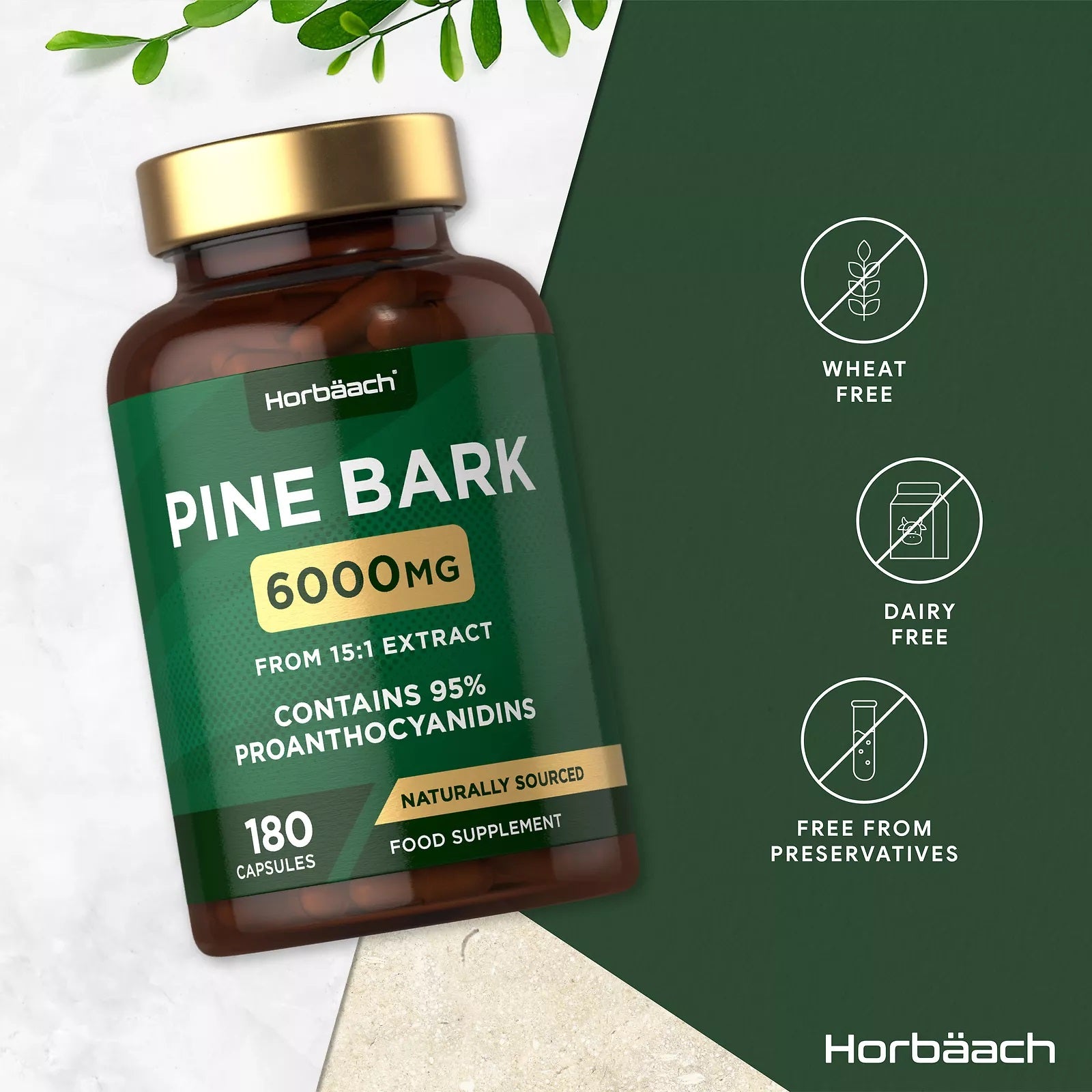 Pine Bark 6000 mg | 180 Capsules