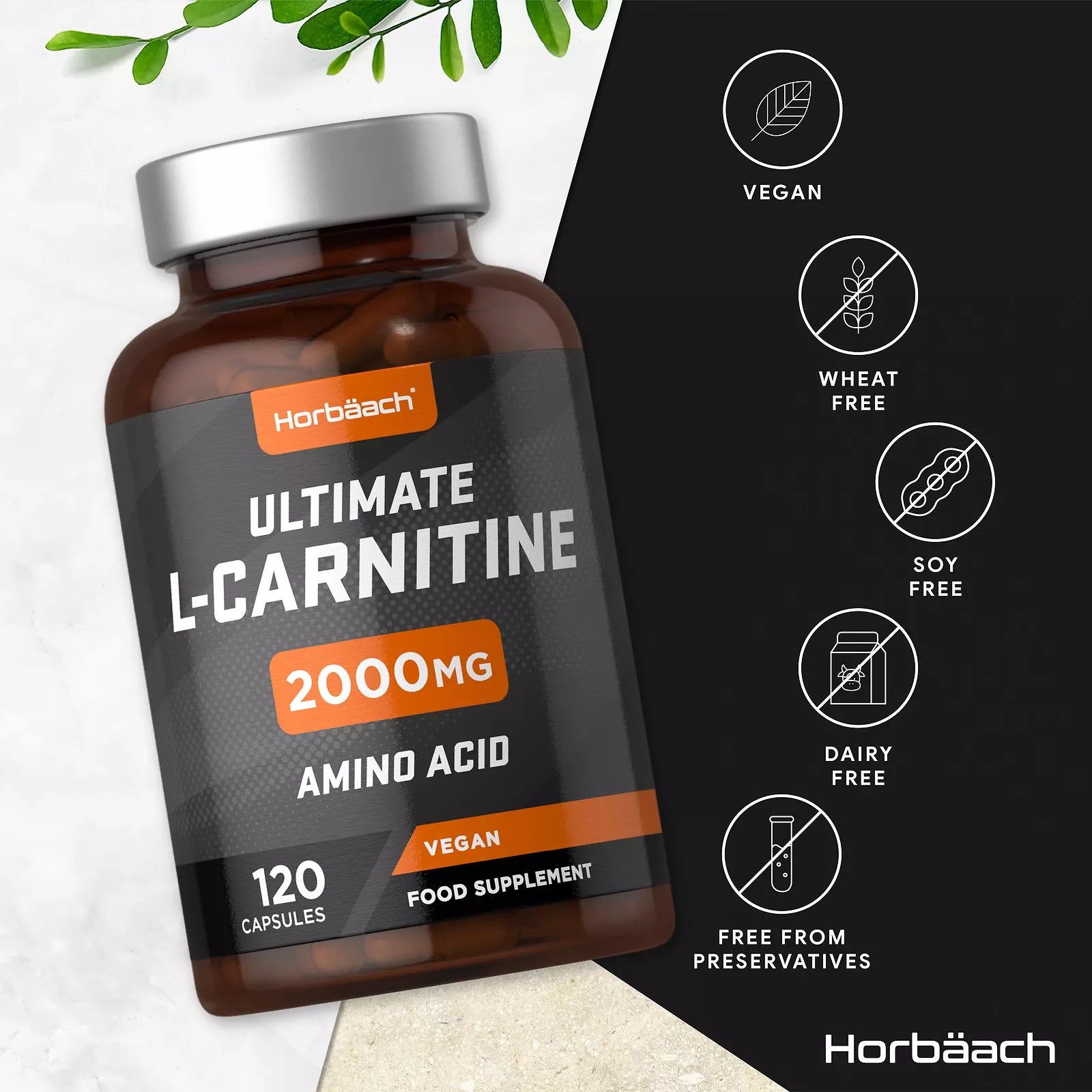 L-Carnitine 2000 mg | 120 Capsules