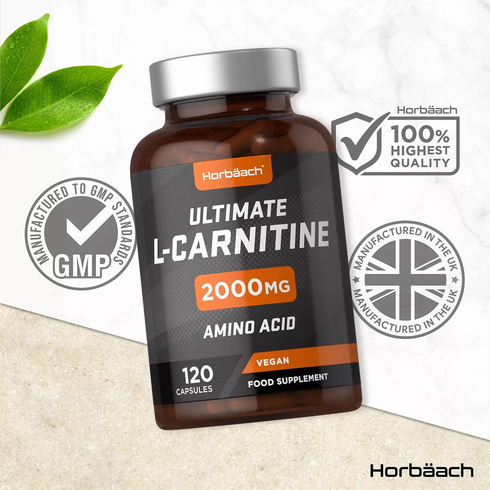 L-Carnitine 2000 mg | 120 Capsules