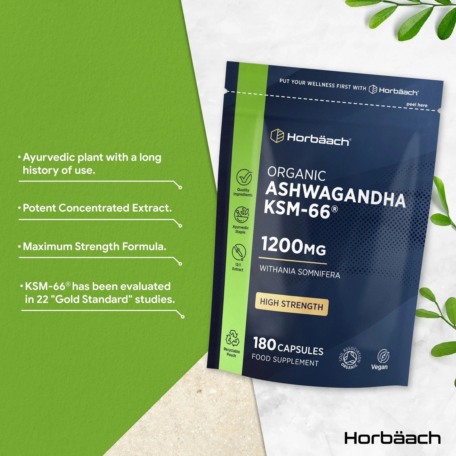Ashwagandha KSM-66 1200 mg | Organic | 120 Capsules