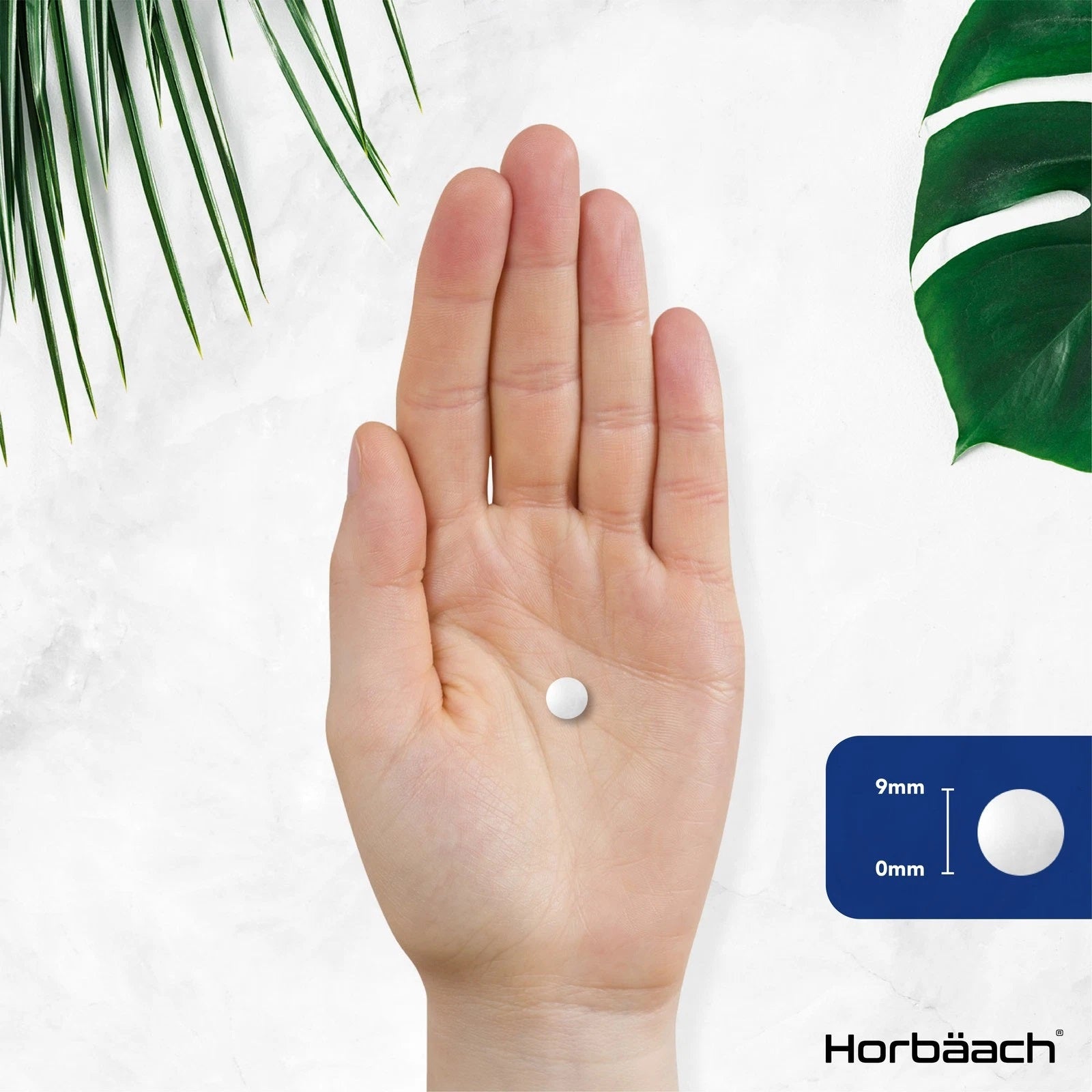 Vitamin B6 100 mg | 180 Tablets
