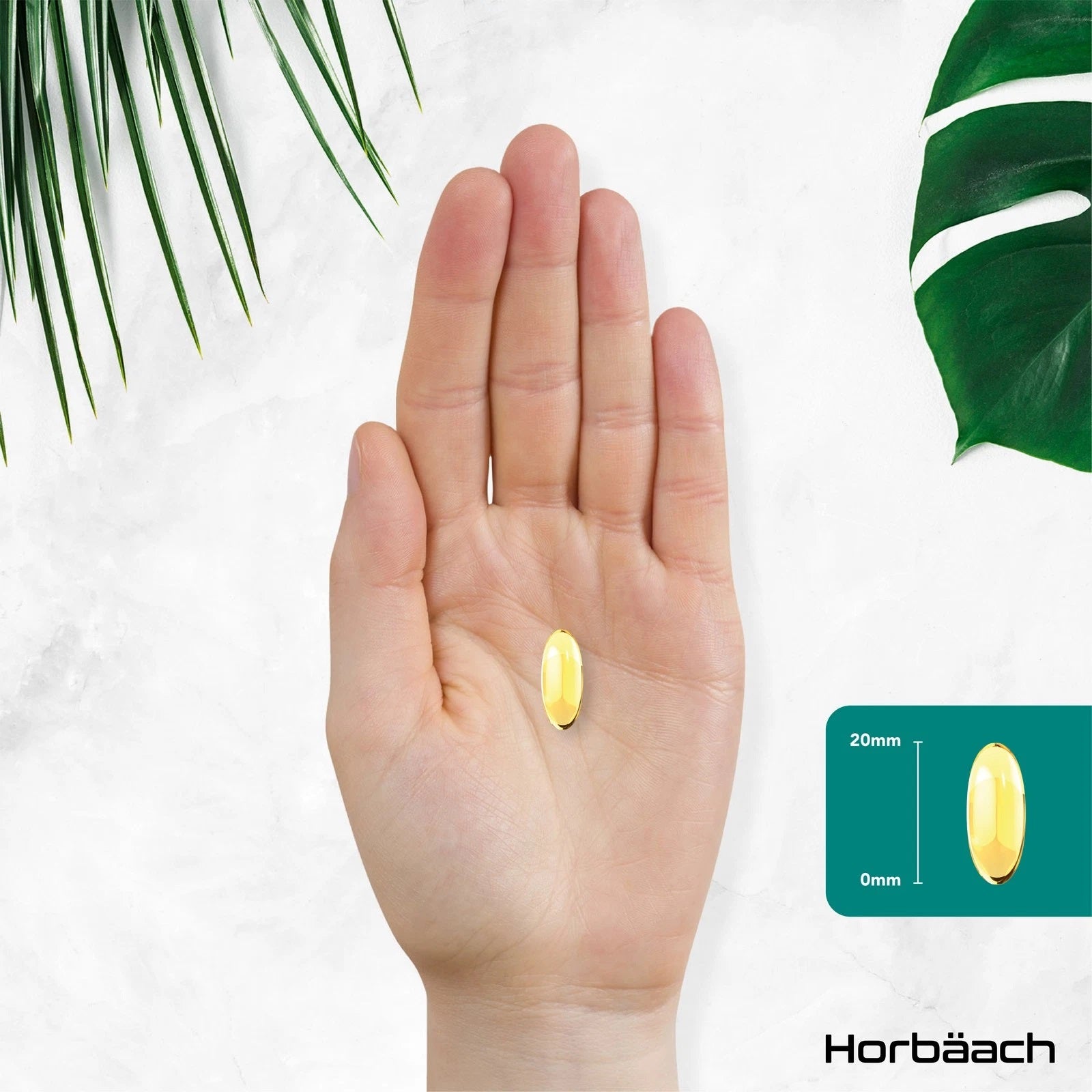 Omega 3 1500 mg | Vegan | 60 Softgels