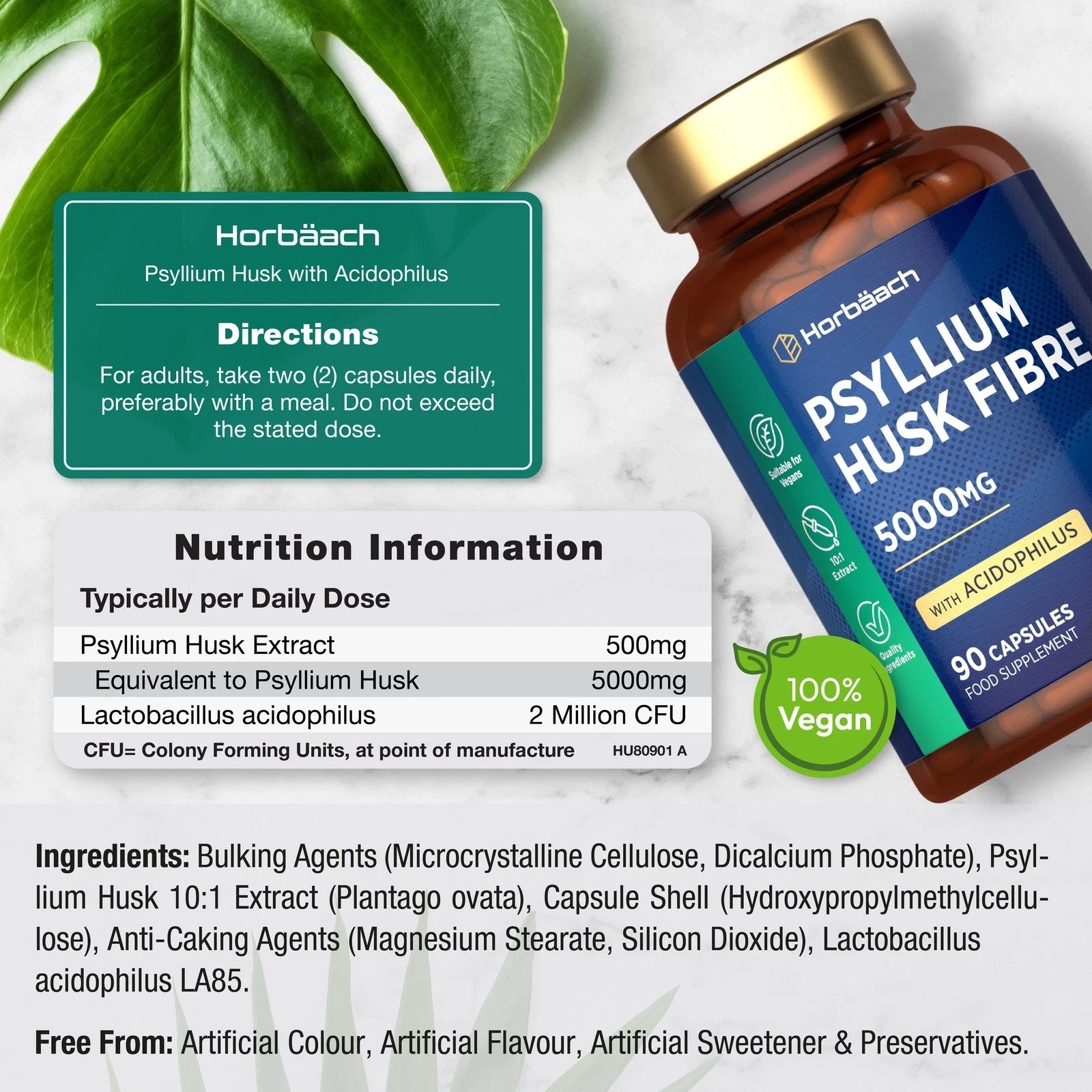 Psyllium Husk with Biotics 5000 mg | 90 Capsules