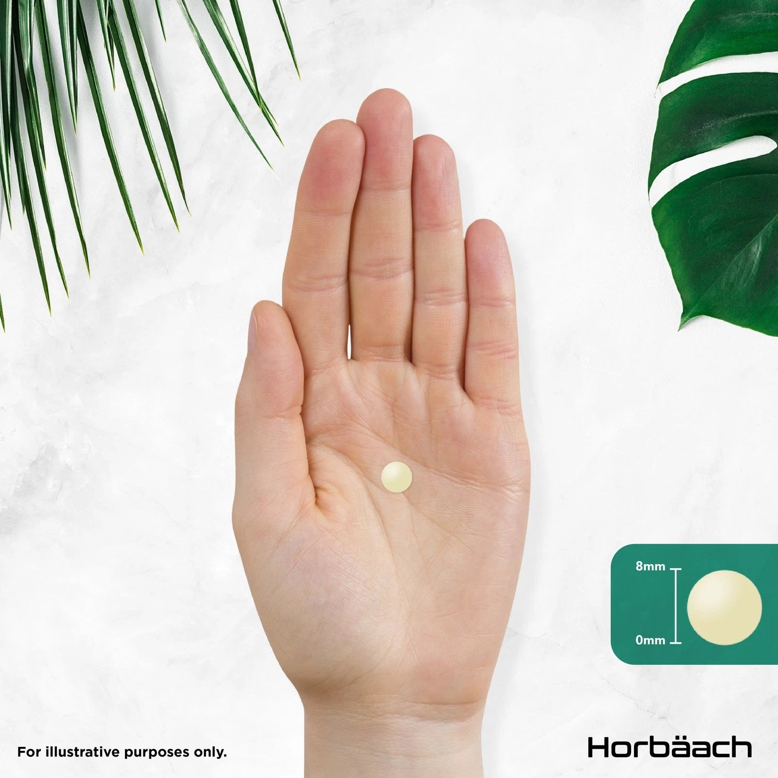 Vitamin B Complex | 365 Tablets