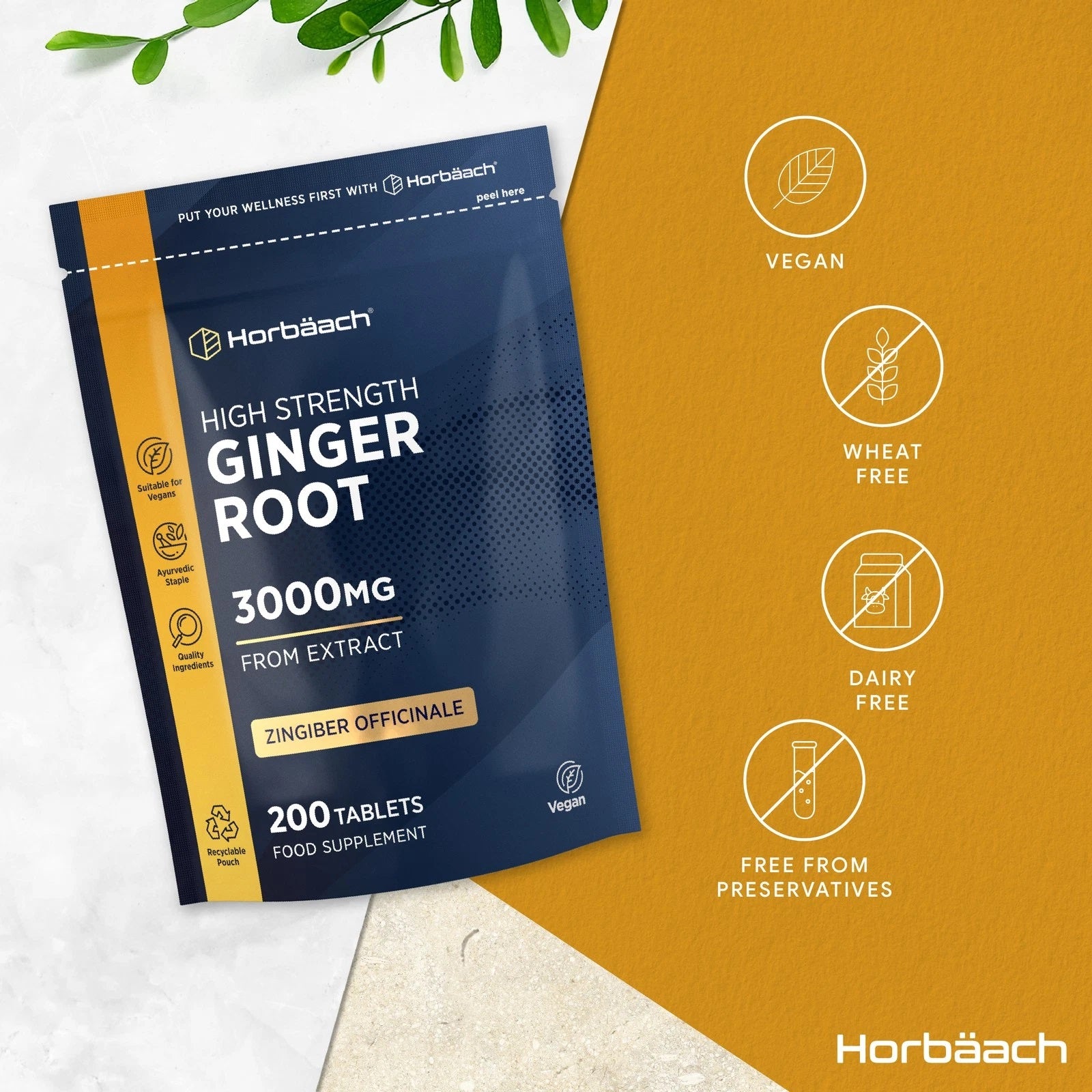 Ginger Root 3000 mg | 200 Tablets