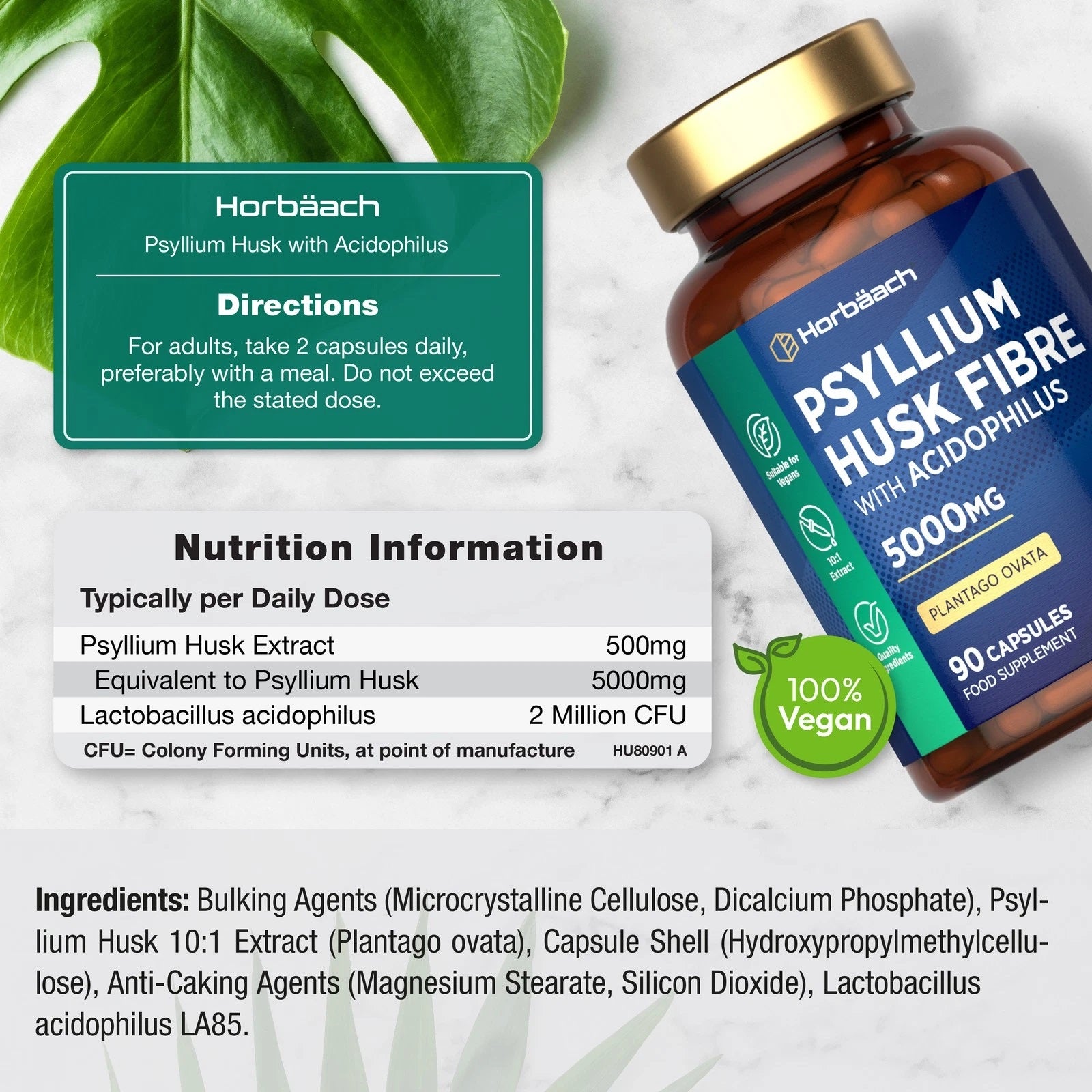 Psyllium Husk with Biotics 5000 mg | 90 Capsules