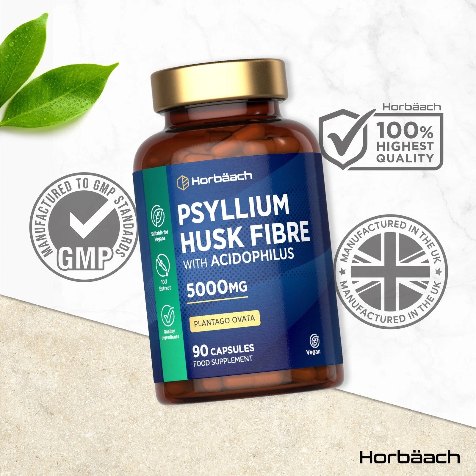 Psyllium Husk with Biotics 5000 mg | 90 Capsules