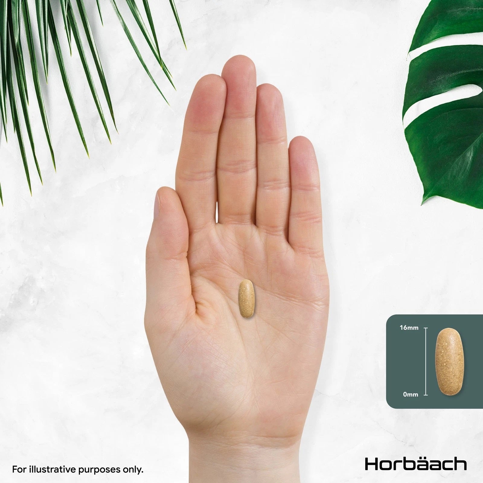 Dandelion Root 750 mg | 90 Tablets