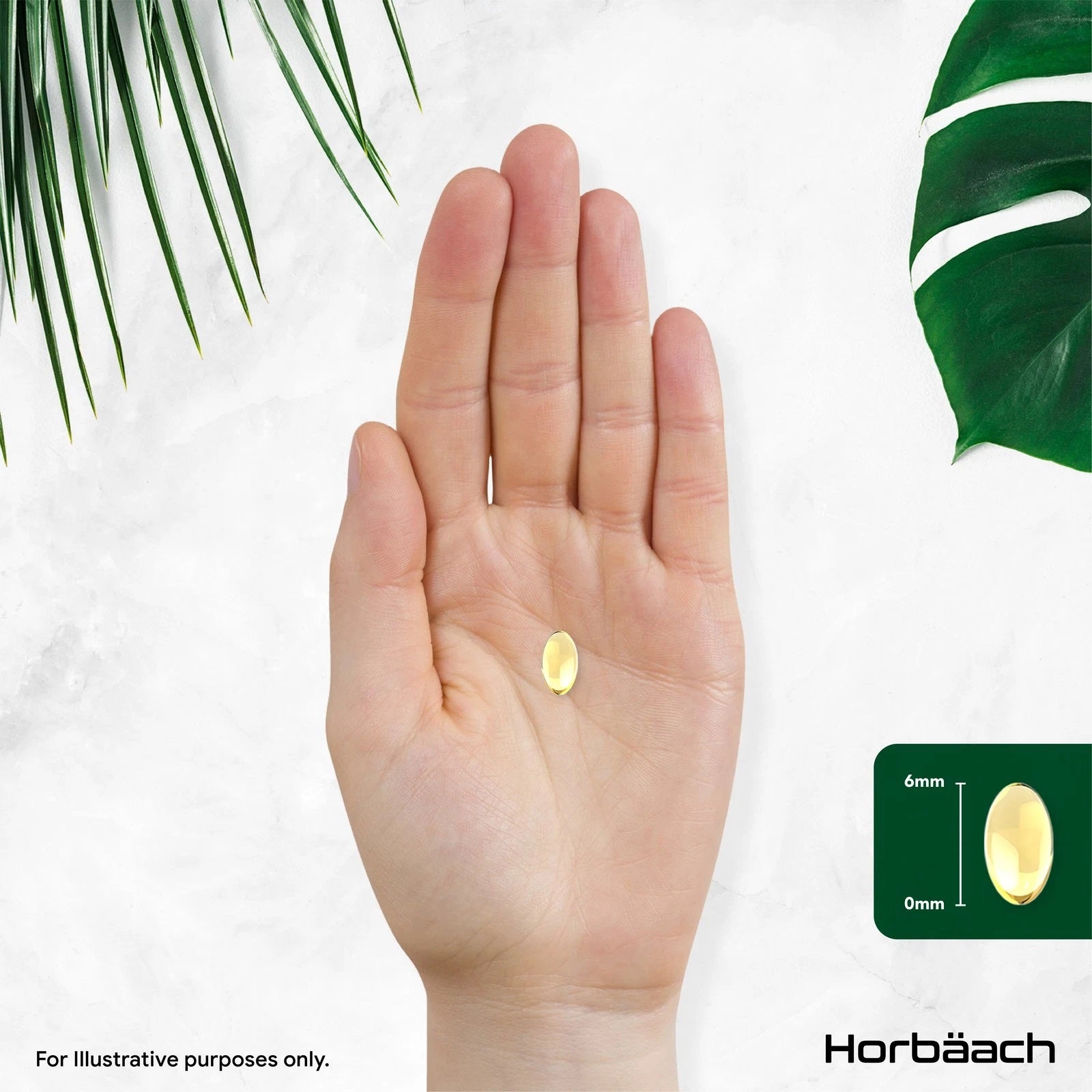 Peppermint Oil 200 mg | 365 Softgels